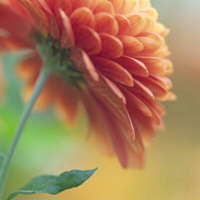 Kaiyun(云开)体育App