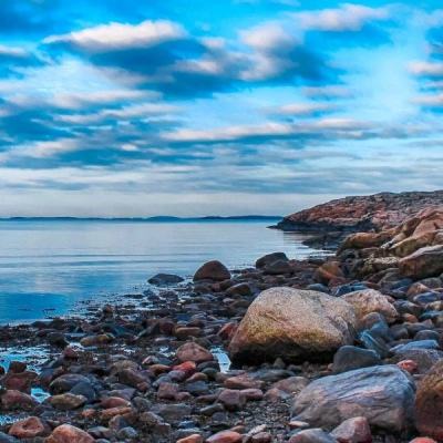 AG九游会app下载