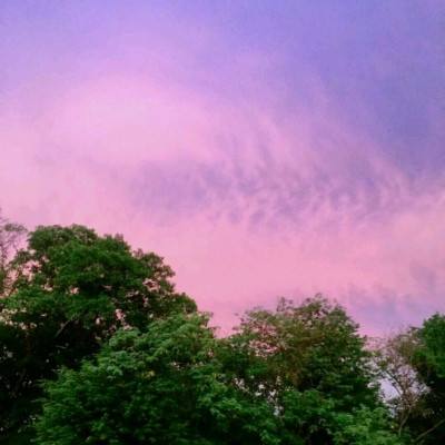 香港资料大全手机app下载