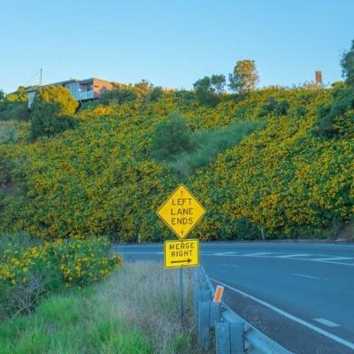 九州官网十年信誉玩家首选