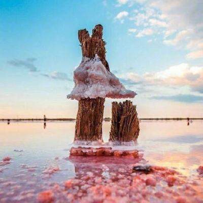 云顶集团下载手机版