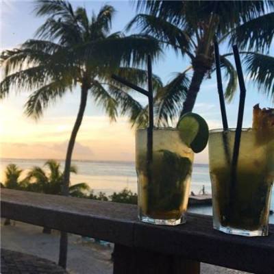 凤凰彩票最新版安卓版