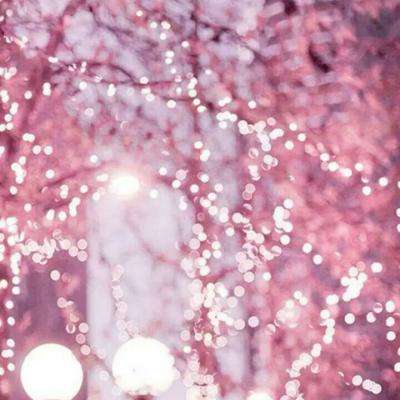 im电竞下载手机版